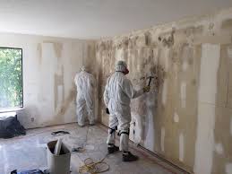 Mold Remediation for Rental Properties in Richwood, TX